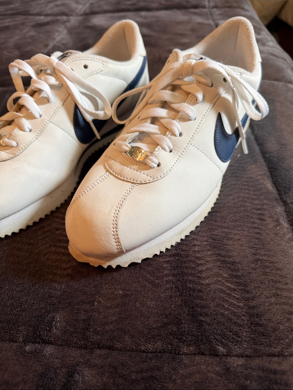 Nike Men’s White Sneakers with Navy Swoosh